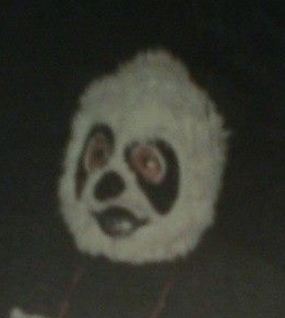 Osito Panda