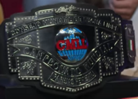 CMLL World Women's Tag Team Championship.png