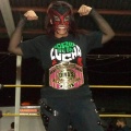 as NWG Divas Champion