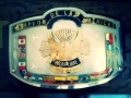 Americas Middleweight Championship