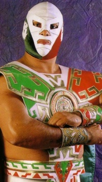 Dr Wagner Jr Luchawiki