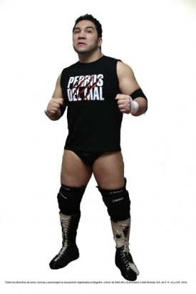 Perro Aguayo Jr.